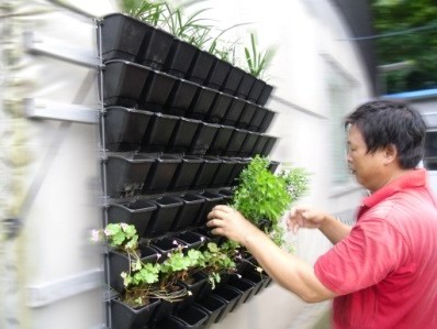 智能化立体绿化墙