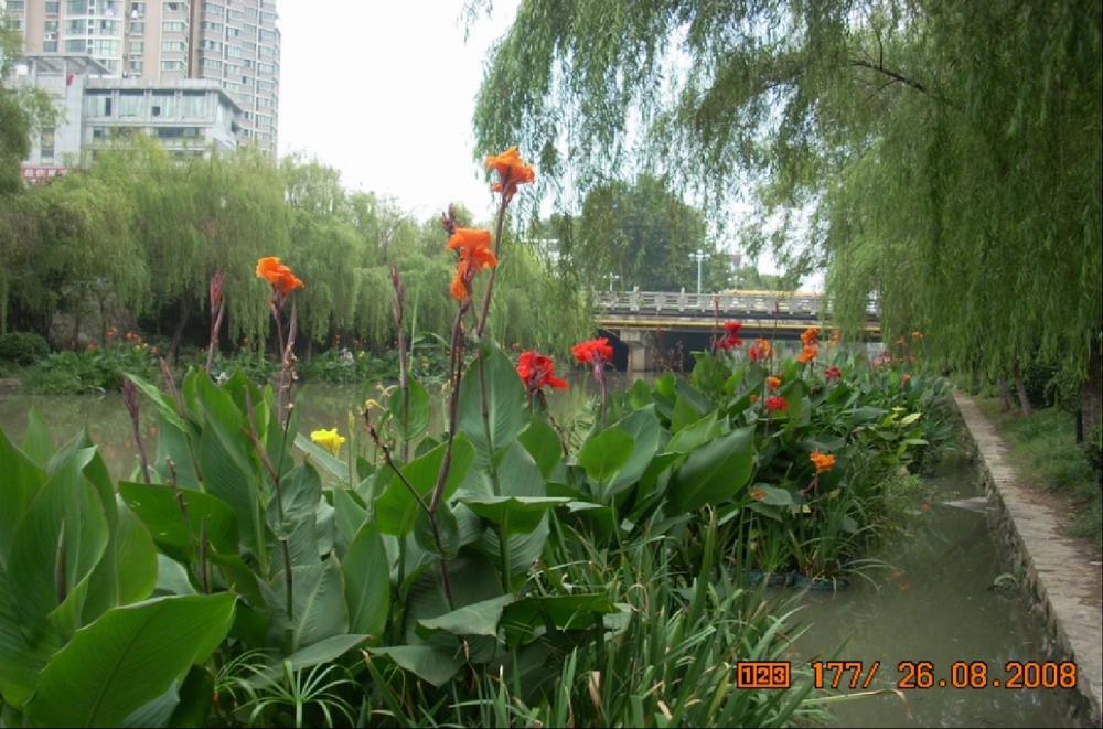 河道景观