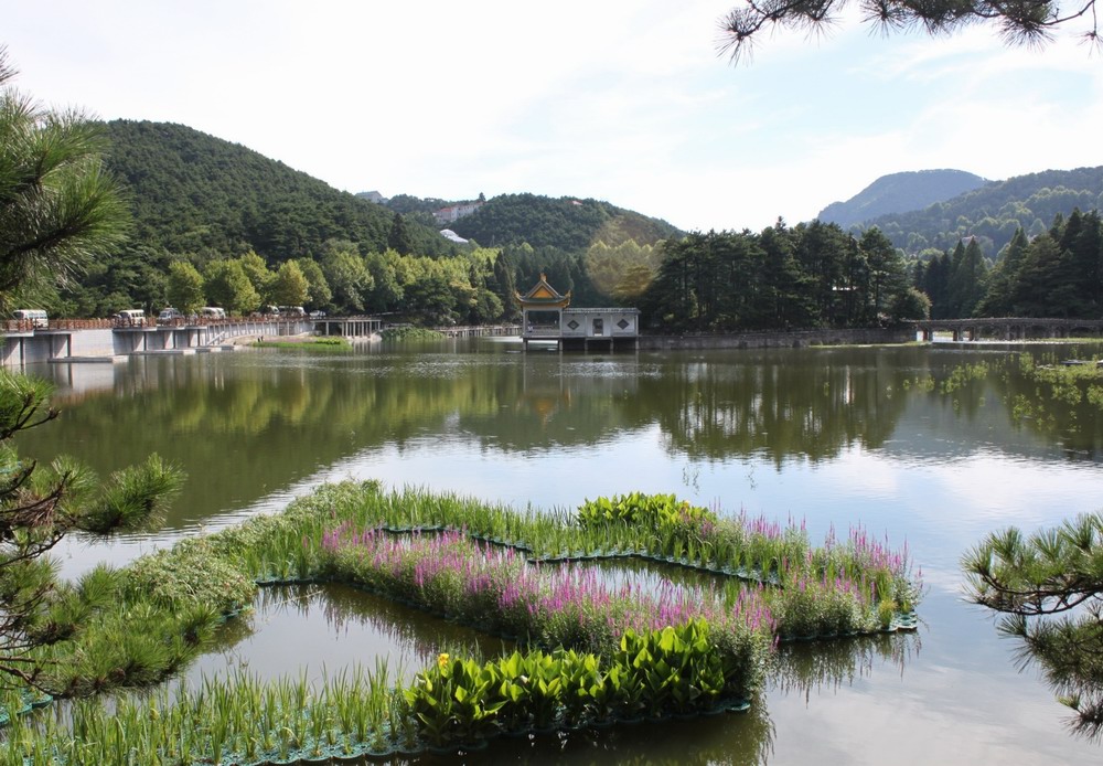 湖面景观